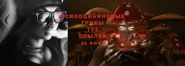 сатива Алексеевка